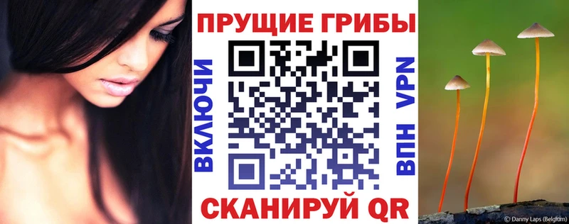 мориарти наркотические препараты  Игарка  Псилоцибиновые грибы Psilocybe 